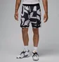 Шорты мужские Air Jordan Sport White/Black FV8630-010