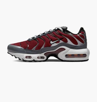 Кросівки дитячі Nike Air Max Plus Gs Bordo/Grey CD0609-602