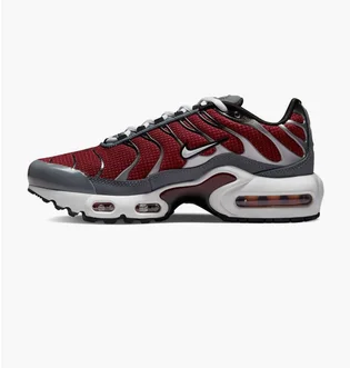 Кроссовки детские Nike Air Max Plus Gs Bordo/Grey CD0609-602
