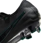 Бутсы унисекс Nike Legend 10 Elite Fg Black DV4328-002
