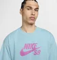 Футболка мужская Nike Logo Skate T-Shirt Light Blue CV7539-464