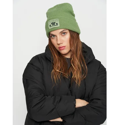 Шапка унисекс Helly Hansen Nord Beanie Green 49481-406