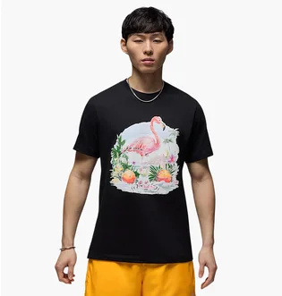 Футболка мужская Air Jordan Ess Flamingo Ss Crew Black HJ2399-010