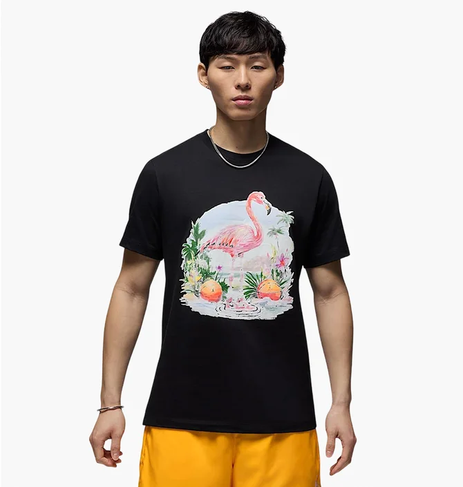 Футболка мужская Air Jordan Ess Flamingo Ss Crew Black HJ2399-010