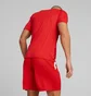 Футболка чоловіча Puma Teamultimate Red 705371-01