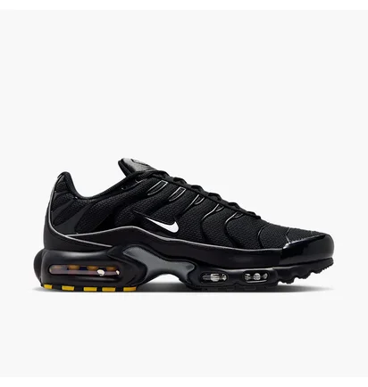 Кроссовки мужские Nike Air Max Plus Og Black HV8066-002