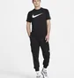 Штани чоловічі Nike Sportswear Repeat Black Dx2030-011
