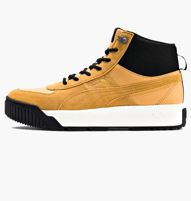 Кроссовки мужские Puma Tarrenz Sb Brown 370551-02