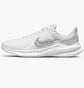 Кроссовки женские Nike Downshifter 11 Grey CW3413-100