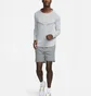 Шорты мужские Nike Dri-Fit Challenger Grey Dv9357-084