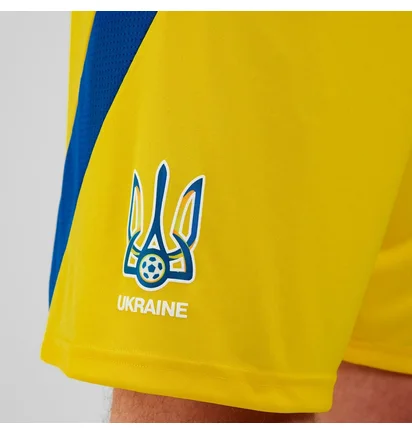 Шорты мужские Adidas Ukraine 24 Yellow IK2248