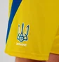 Шорты мужские Adidas Ukraine 24 Yellow IK2248