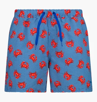 Шорти чоловічі CMP Printed Blue 36R6107-N951