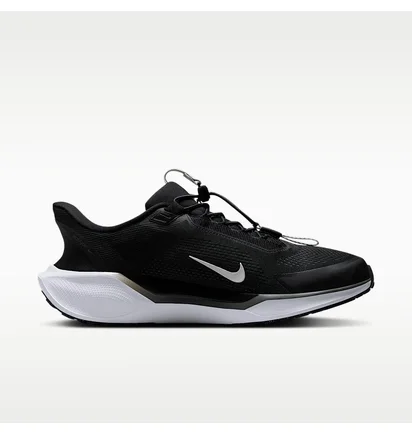 Кросівки чоловічі Nike Pegasus Easyon Black FQ7837-002
