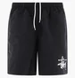 Шорты мужские Stussy Big Basic Black 113156N0001