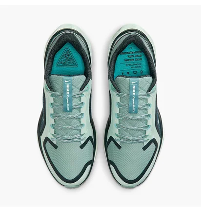 Кросівки жіночі Nike Pegasus 41 Gore Tex Turquoise FQ1357-003