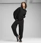 Штаны женские Puma Her High-Waist Sweatpants Black 685667-01