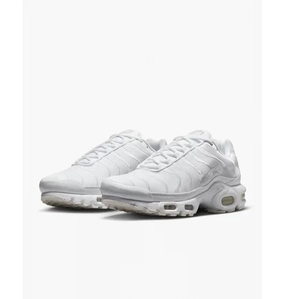 Кроссовки мужские Nike Air Max Plus White Aj2029-100