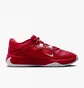 Кросівки унісекс Nike Freak 5 (Team) Basketball Shoes Red DZ2946-600