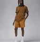 Шорты мужские Air Jordan Dri-Fit Sport Orange DZ0557-754