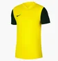 Футболка детская Nike Y Nk Df Tiempo Prem Ii Jsy Ss Yellow Dh8389-719
