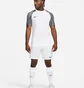 Футболка мужская Nike Dri-Fit Academy White DH8031-104
