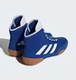 Кросівки унісекс Adidas Tech Fall 2.0 Wrestling Shoes Blue IF9924