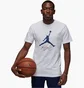 Футболка мужская Air Jordan Jumpman Flight White AO0664-102