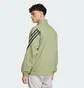 Олимпийка мужская Adidas Future Icons 3-Stripes Olive IW8546