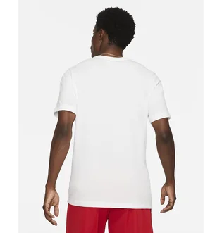 Футболка мужская Nike Dri-Fit Fresh Perspective White DJ1586-100
