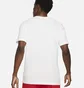 Футболка мужская Nike Dri-Fit Fresh Perspective White DJ1586-100
