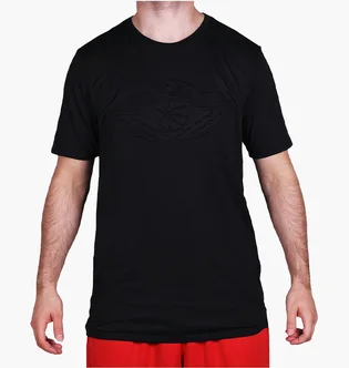 Футболка чоловіча Air Jordan Sportswear Wings Black 907969-010