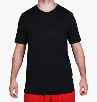 Футболка мужская Air Jordan Sportswear Wings Black 907969-010