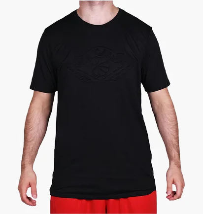 Футболка мужская Air Jordan Sportswear Wings Black 907969-010