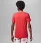 Футболка детская Nike Jumpman Hbr Haze Out Red 95C977-R0F