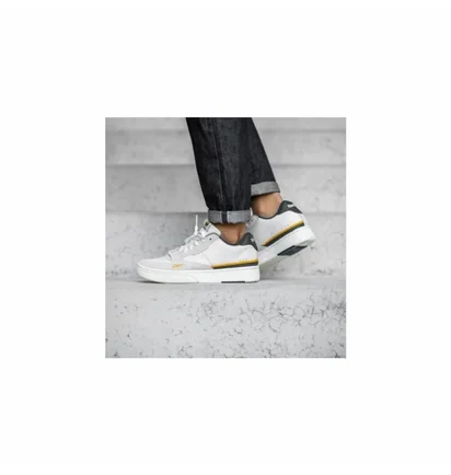 Кросівки чоловічі Reebok Dual Court Beige EG6018