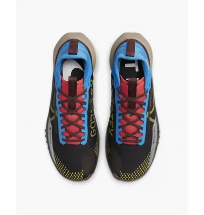Кроссовки мужские Nike Pegasus Trail 4 Gore-Tex Waterproof Trail Running Shoes Black DJ7926-003
