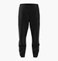 Штаны мужские Adidas Terrex Hike Black DZ2042