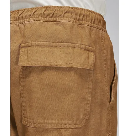 Штани чоловічі Air Jordan Essentials Washed Chicago Pants Brown FN6364-231