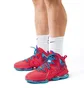 Кроссовки унисекс Nike Lebron Xix "Kings Crown" Red Cz0203-600