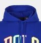 Худи мужское Ralph Lauren Fleece Logo Hoodie Blue 710890190003