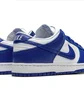 Кросівки чоловічі Nike Dunk Low Retro White/Blue CU1726-100