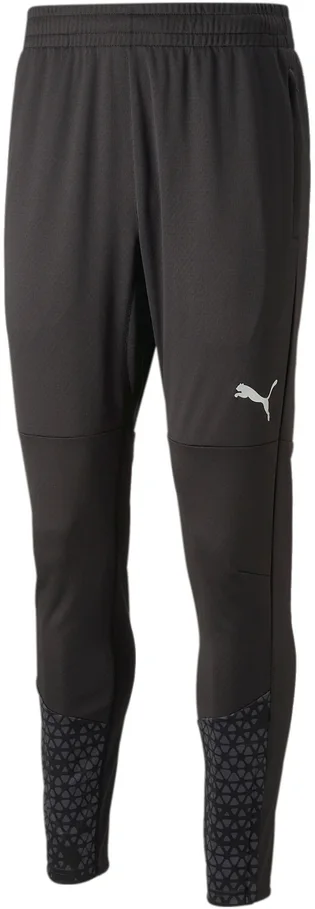 Штаны мужские Puma Teamcup Training Pants Black 658369-003