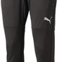 Штаны мужские Puma Teamcup Training Pants Black 658369-003
