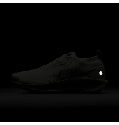 Кросівки чоловічі Nike Pegasus Trail 5 Gtx White FQ0908-102
