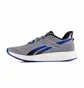 Кросівки чоловічі Reebok Forever Floatride E Grey EH3253
