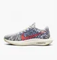 Кроссовки женские Nike Pegasus Turbo Next Nature Multi Dm3414-002
