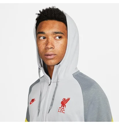 Худи мужское Nike Liverpool Fc Travel Fleece Grey DB7824-016