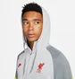 Худи мужское Nike Liverpool Fc Travel Fleece Grey DB7824-016
