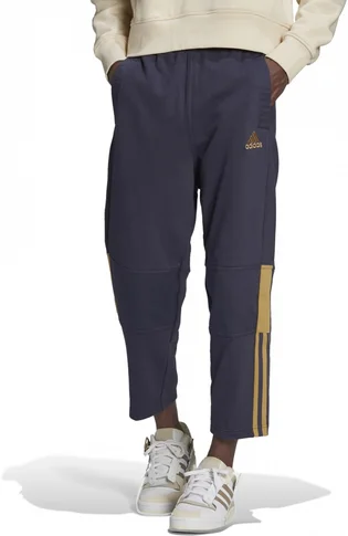 Штаны мужские Adidas Pants Sportswear Tiro 7/8 Pnt Aw Blue H56628